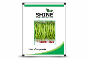 Chilli-Shine 820 F1(10 gm)